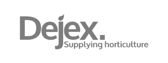 Dejex client logo