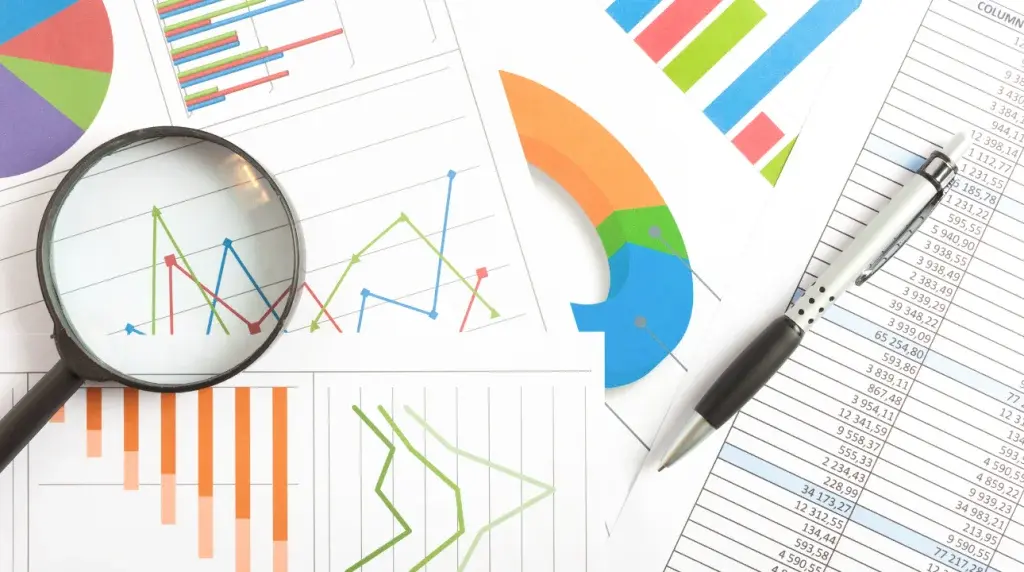 SEO analytics report showing website performance and data insights