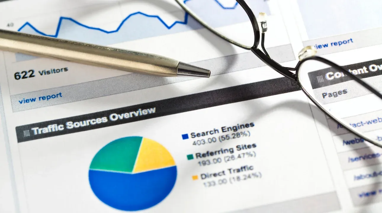 Traffic sources overview report showing website visitors and search engine traffic